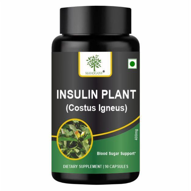 Mahogany Insulin Plant (Costus Igneus) Capsules 400mg