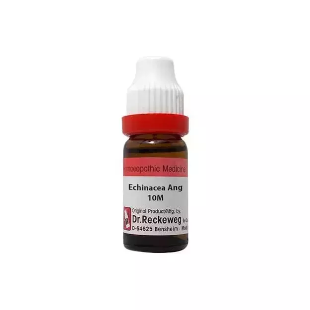 Dr. Reckeweg Echinacea ang Dilution 10M