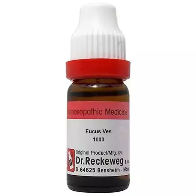 Dr. Reckeweg Fucus Ves. Dilution 1000 CH