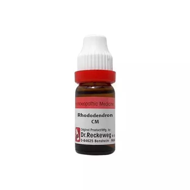 Dr. Reckeweg Rhododendron Dilution CM