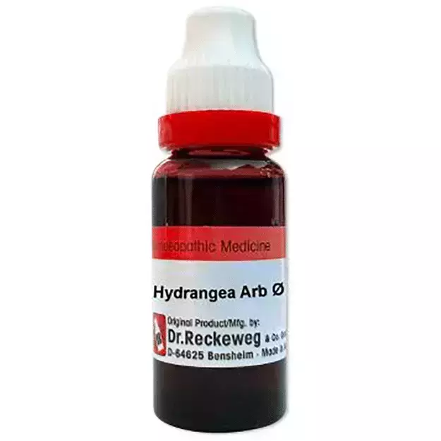 Dr. Reckeweg Hydrangea Mother Tincture Q