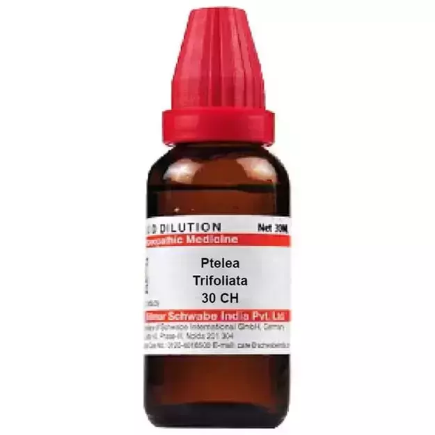 Schwabe Ptelea trifolia Dilution 30 CH