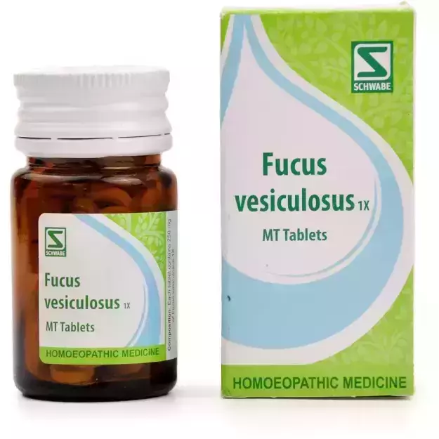 Schwabe Fucus vesiculosus 1X MT Tablets
