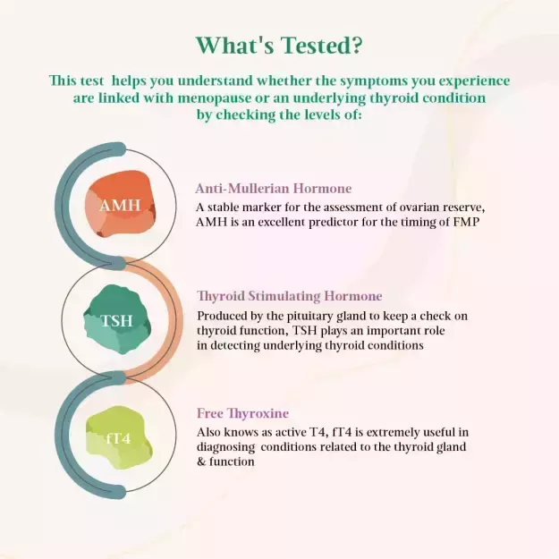 Perimenopause Test