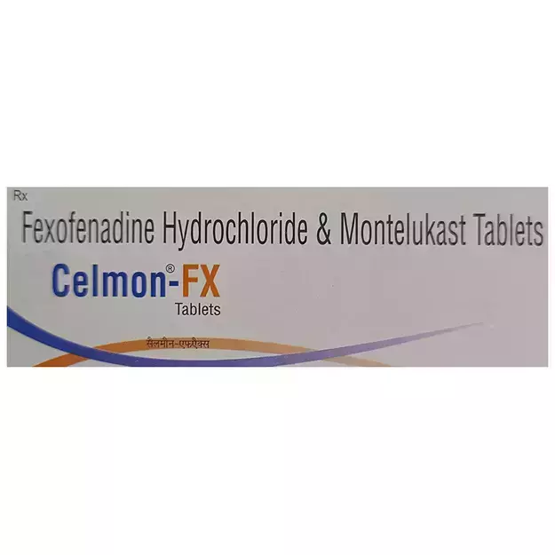 Celmon FX Tablet (10)