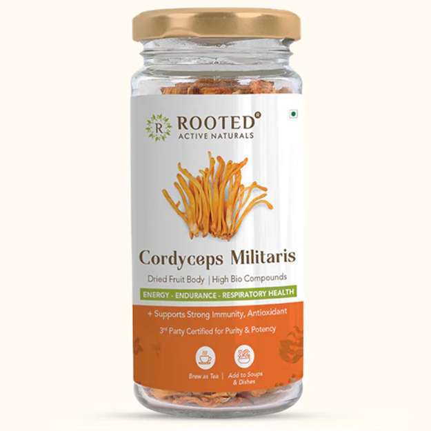 Rooted Active Naturals Cordyceps Militaris Powder 25gm