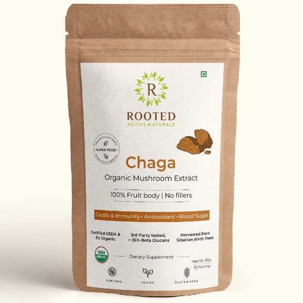 Rooted Active Naturals Chaga Organic Mushroom Extract Powder 120gm
