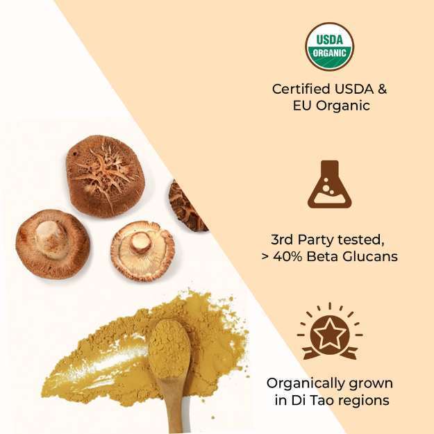 Rooted Active Naturals Shiitake Organic Mushroom Extract Powder 60gm