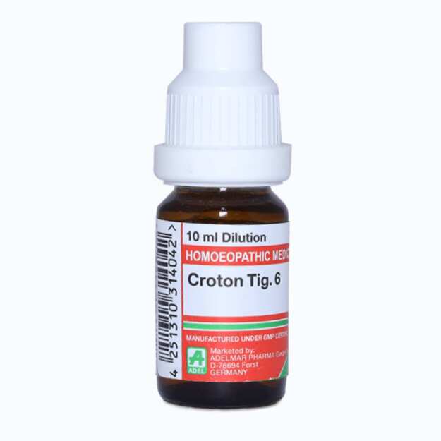 ADEL Croton Tig Dilution 6 CH