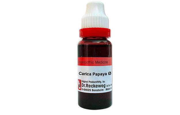 Dr. Reckeweg Carica Papaya Mother Tincture Q