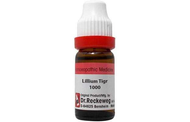 Dr. Reckeweg Lilium Tigrinum Dilution 1000 Ch