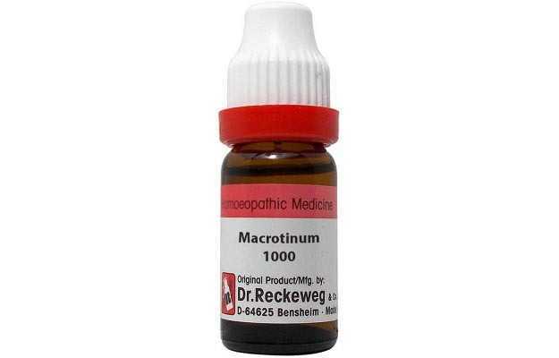 Dr. Reckeweg Macrotinum Dilution 1000 CH