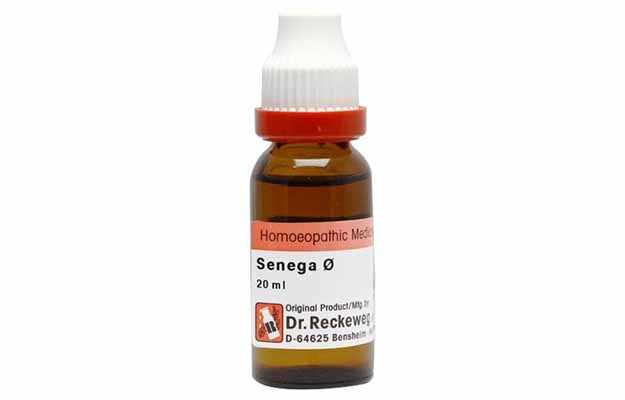 Dr. Reckeweg Senega Mother Tincture Q