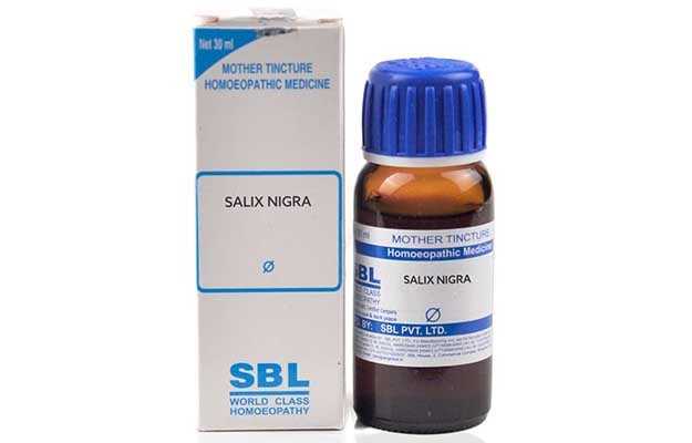 SBL Salix nigra Mother Tincture Q