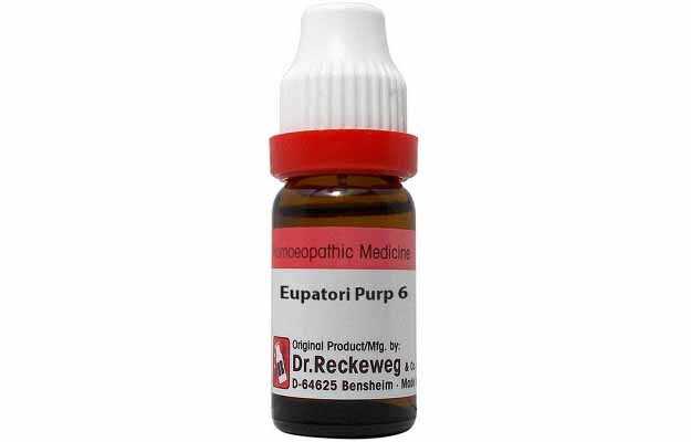 Dr. Reckeweg Eupatorium Purp Dilution 6 CH