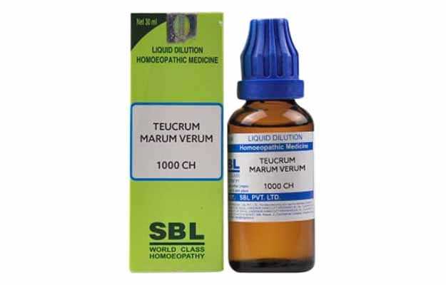 SBL Teucrium marum verum Dilution 1000 CH