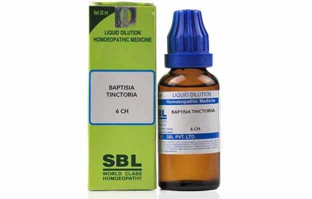 Sbl Baptisia Tinctoria Dilution 6 Ch
