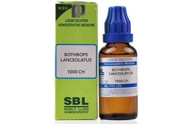SBL Bothrops lanceolatus Dilution 1000 CH