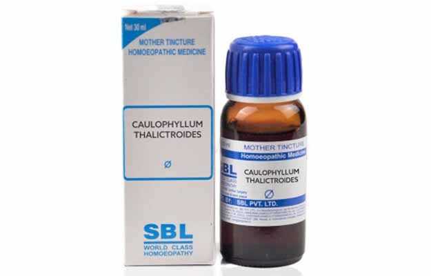 SBL Caulophyllum thalictroides Mother Tincture Q
