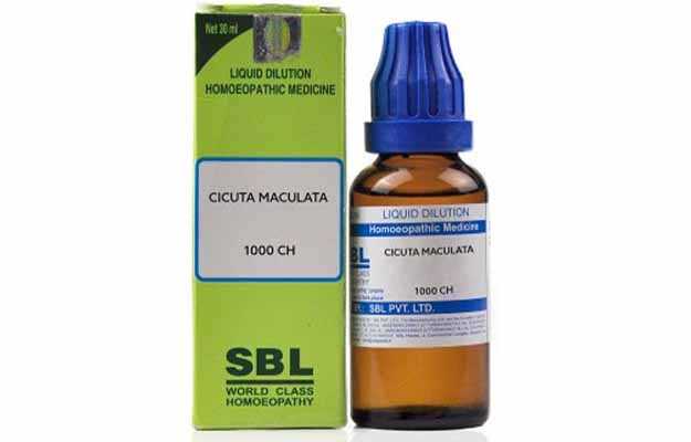 SBL Cicuta maculata Dilution 1000 CH