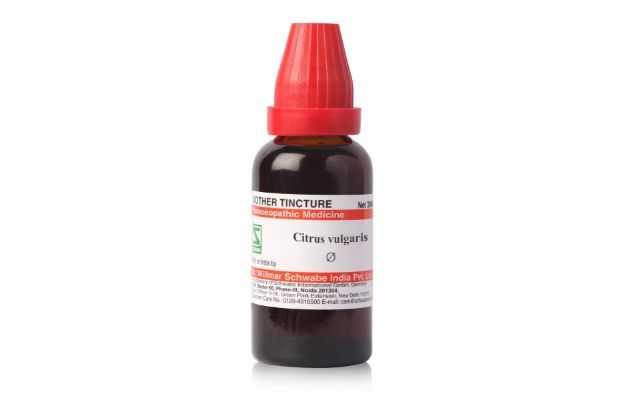 Schwabe Citrus vulgaris MT 