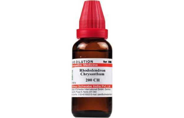 Schwabe Rhododendron chrysanthum Dilution 200 CH
