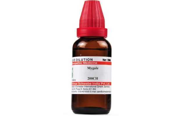 Schwabe Mygale Dilution 200 CH
