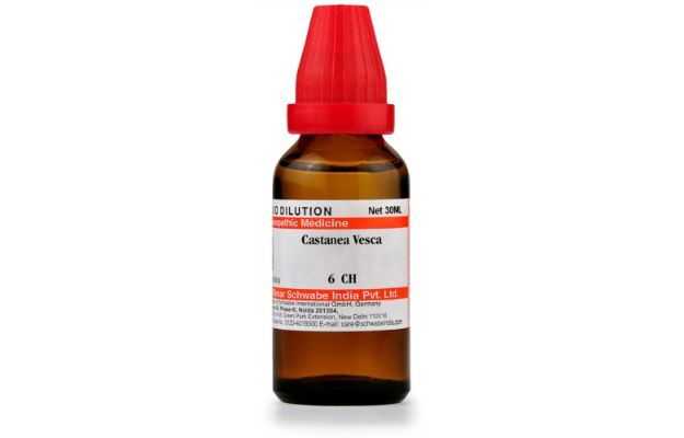 Schwabe Castanea vesca Dilution 6 CH