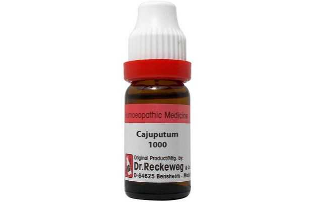 Dr. Reckeweg Cajuputum Dilution 1000 CH