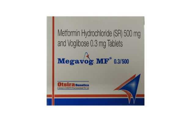 Megavog MF 0.3/500 Tablet SR