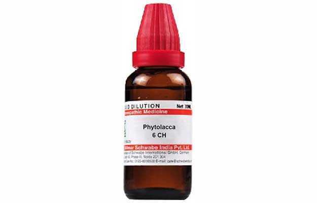 Schwabe Phytolacca Dilution 6 CH