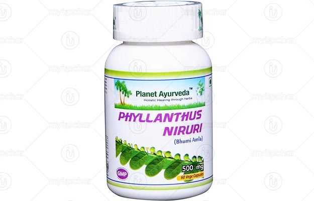 Planet Ayurveda Phyllanthus Niruri