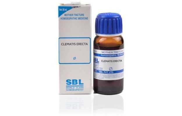 SBL Clematis erecta Mother Tincture Q