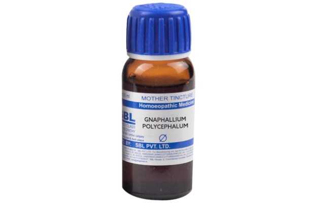 SBL Gnaphalium polycephalum Mother Tincture Q