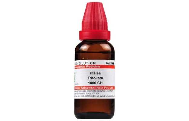 Schwabe Ptelea trifolia Dilution 1000 CH