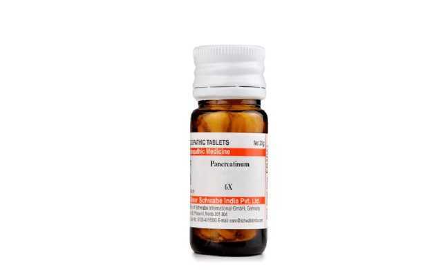 Schwabe Pancreatinum Trituration Tablet 6X