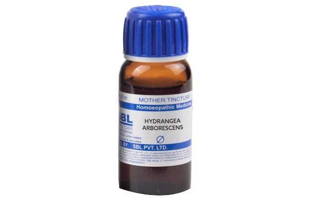 SBL Hydrangea arborescens Mother Tincture Q