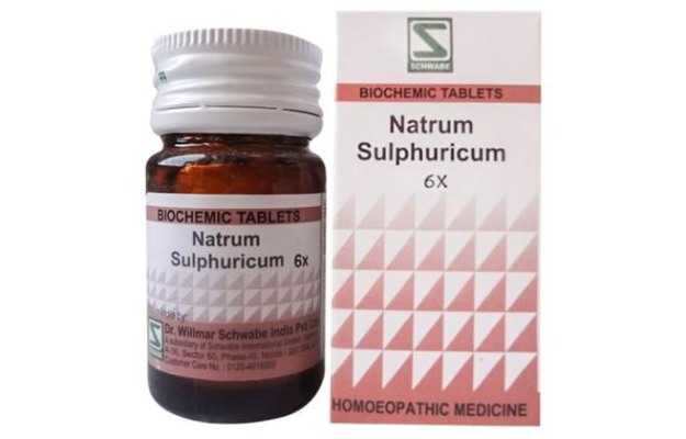 Schwabe Natrum sulphuricum Biochemic Tablet 6X 20g
