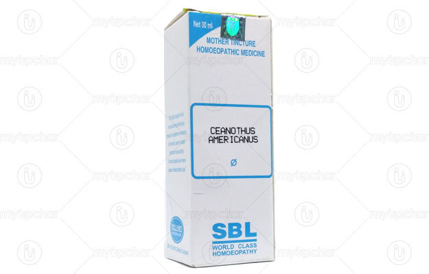 Sbl Ceanothus Americanus Mother Tincture Q Benefits Side Effects Price Dose How To Use Interactions