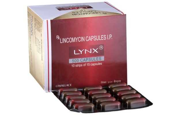 Lynx 500 Capsule (15)