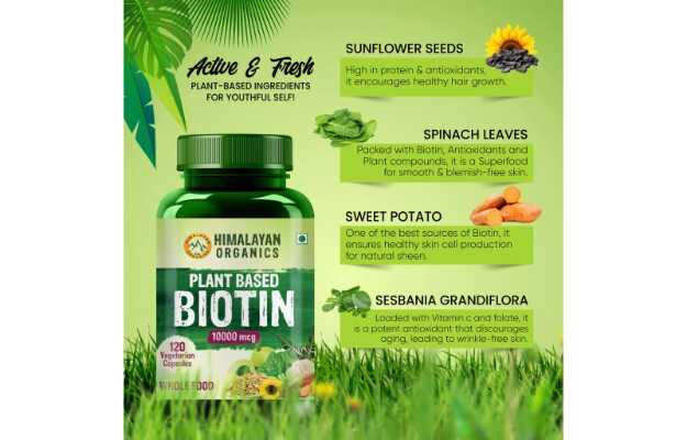Biotin for Hair Growth  Himalayan Organics Biotin 10000mcg for Hair Growth  Tablets Review  YouTube