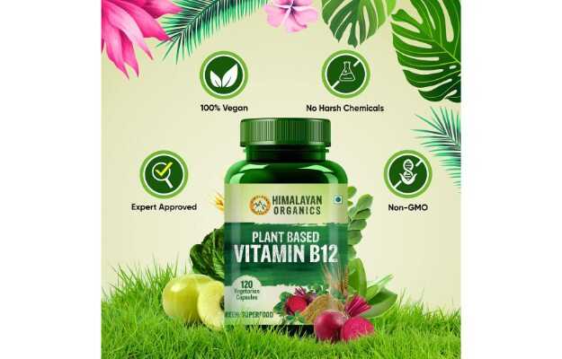 Himalayan Organics Plant Based Vitamin B12 Natural Capsules: Uses ...