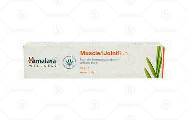 Himalaya Muscle & Joint Rub Ointment