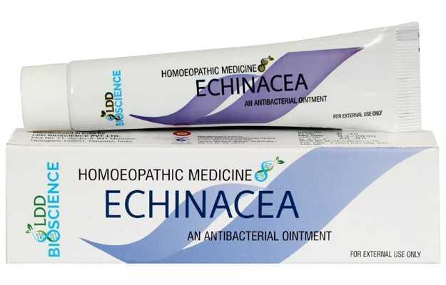 LDD Bioscience Echinacea Ointment