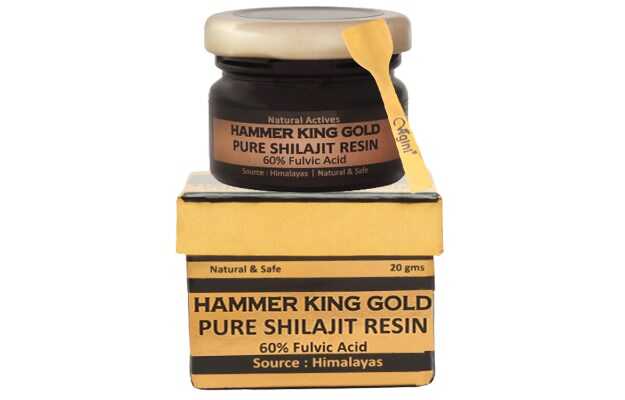 Vigini Natural Actives hammer king gold shilajit resin (20gm)