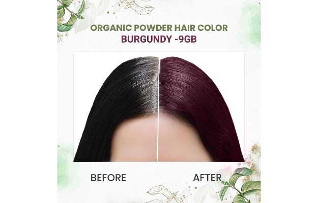 byPureNaturals 100 Organic Powder Burgundy Hair Color for Men  Women  Uses Price Dosage Side Effects Substitute Buy Online