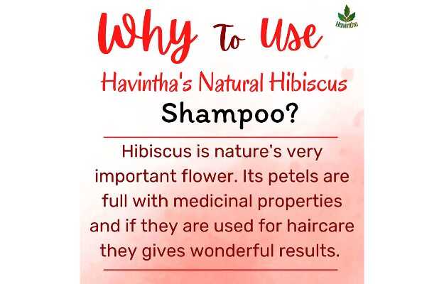 Havintha Natural Hair Shampoo with Amla Reetha Shikakai and Methi dana   Pack of 5   Price in India Buy Havintha Natural Hair Shampoo with Amla  Reetha Shikakai and Methi dana 