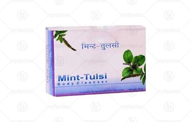 Patanjali Mint Tulsi  Body Cleanser
