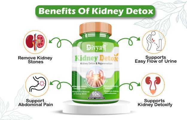 Divya Shree Kidney Detox Capsule (60)