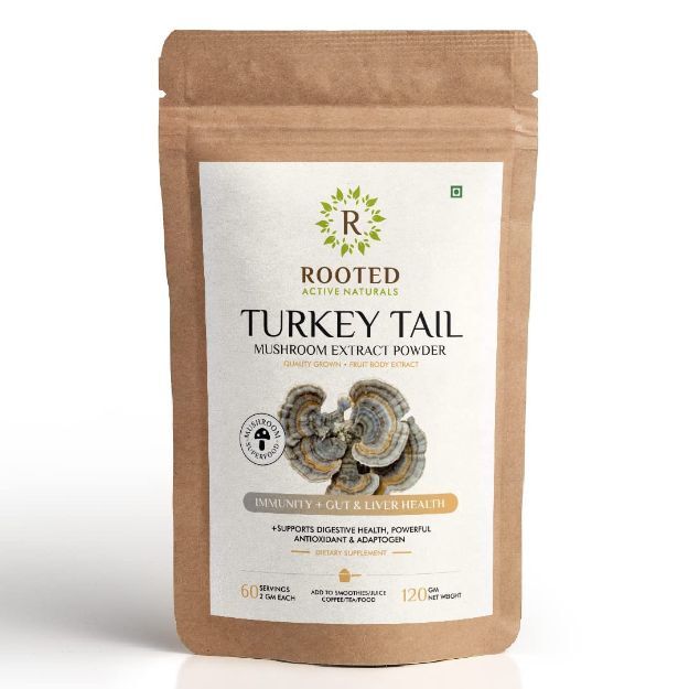 Rooted Active Natural Turkey Tail Mushroom Extract Powder 60gm